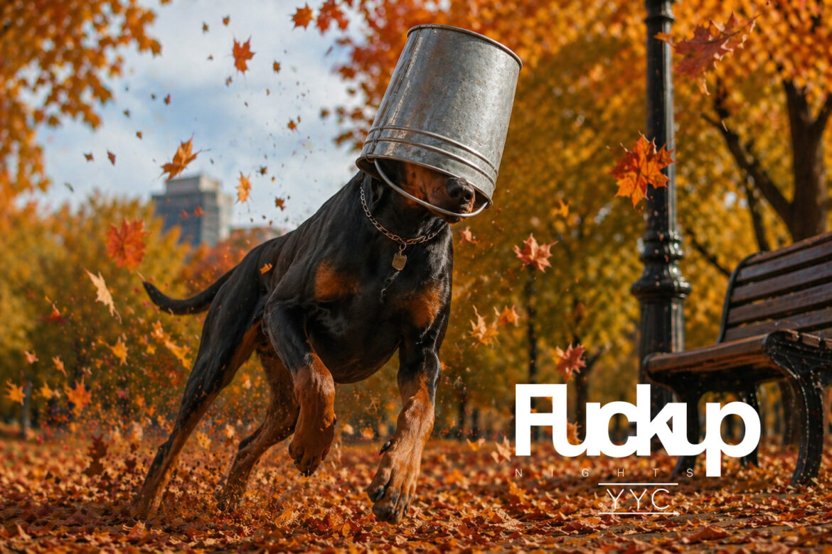 Doberman with a bucket on its head running through fallen autumn leaves in a park.