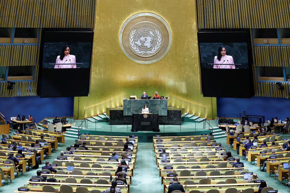 Anand UN Address Targets 'Great Powers' Disrupting Global Order
