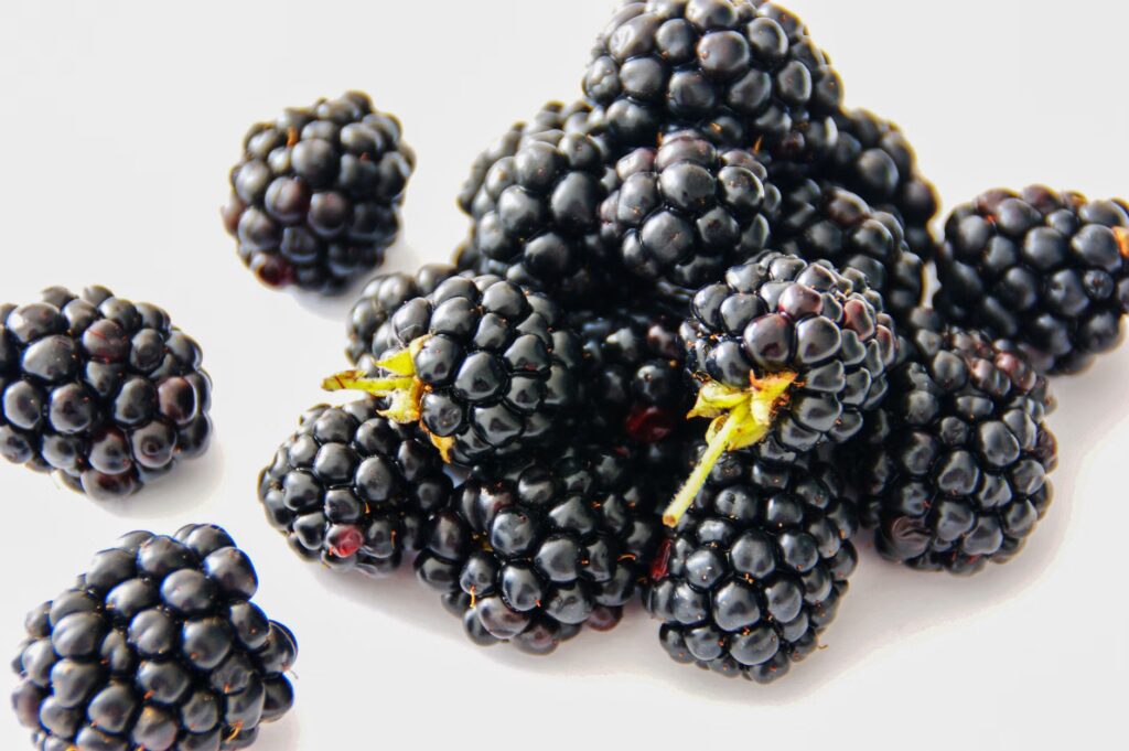 BlackBerry Q2 results