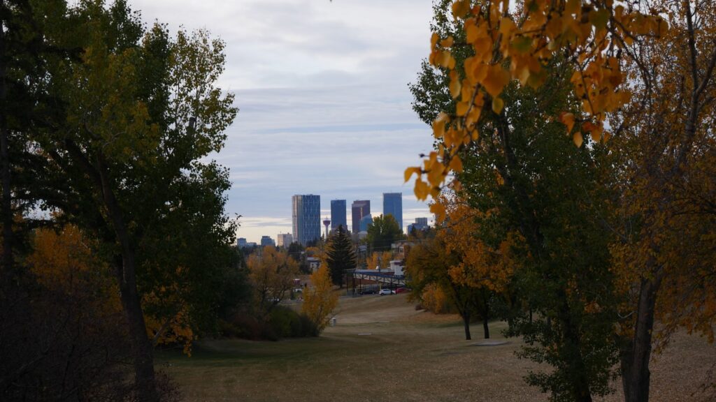 Calgary-Shaw byelection