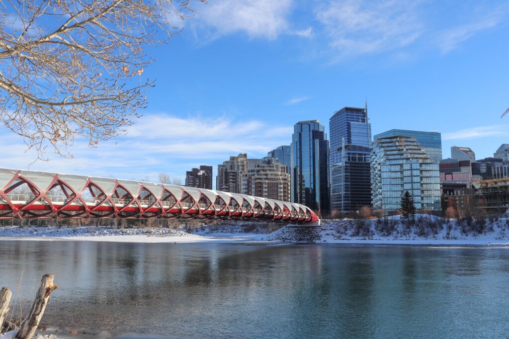 Calgary-Shaw byelection