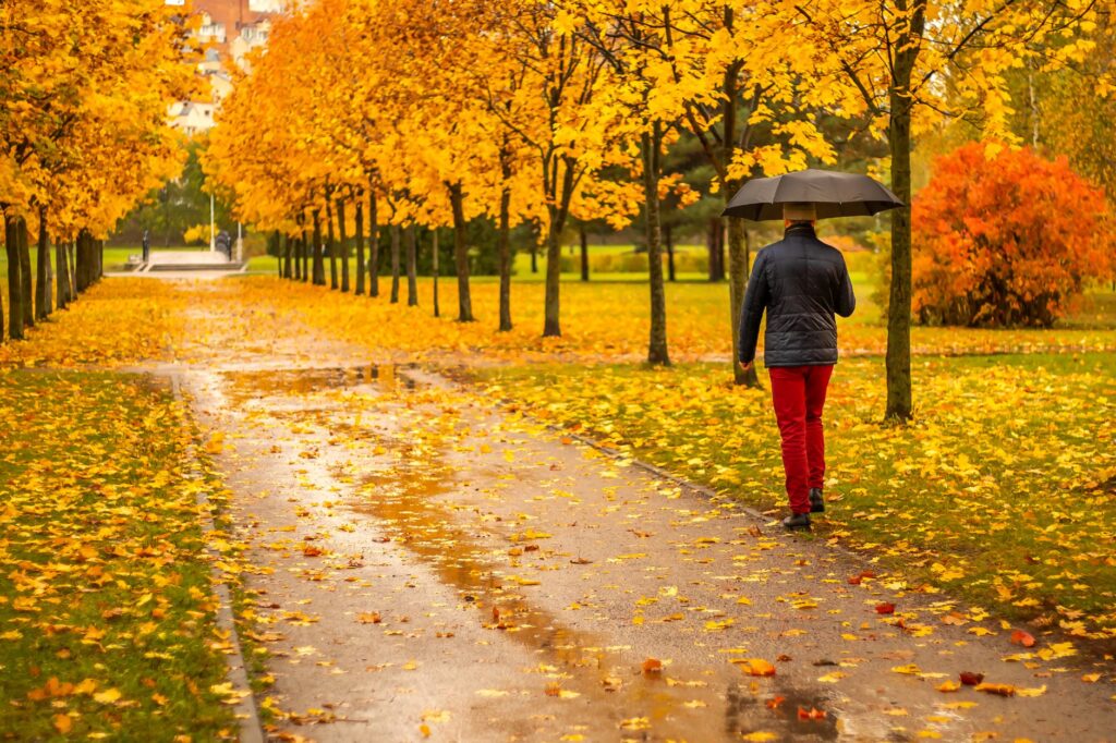 El Niño fall forecast