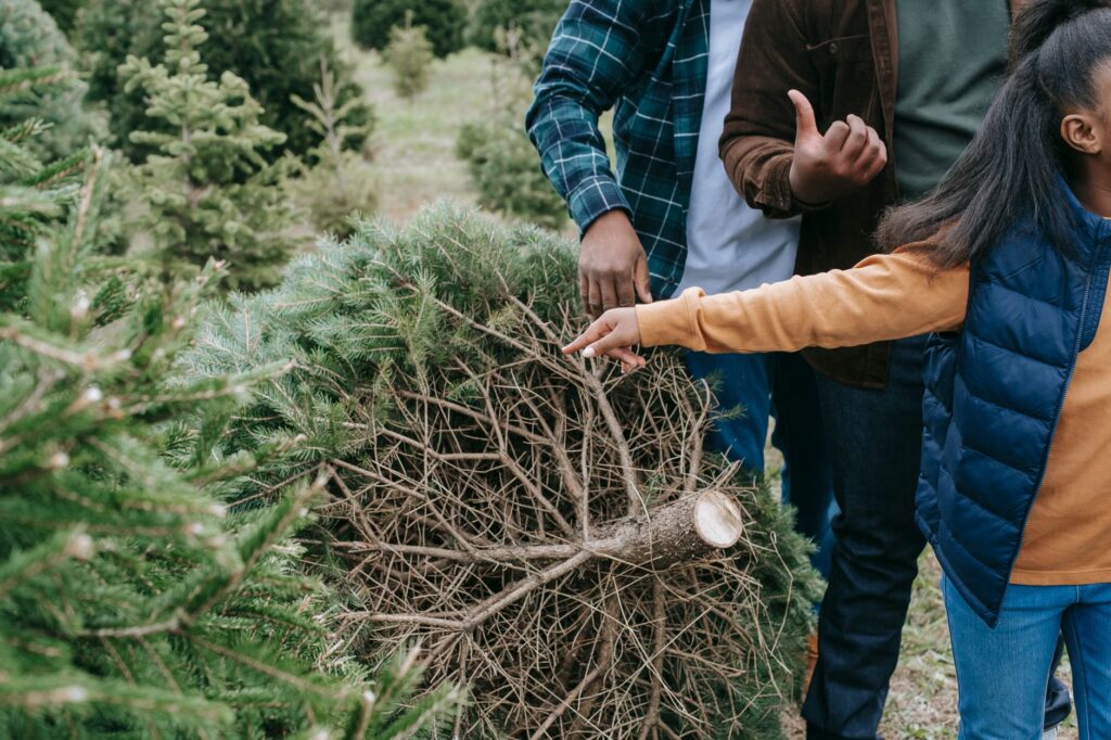 targeted tree selection