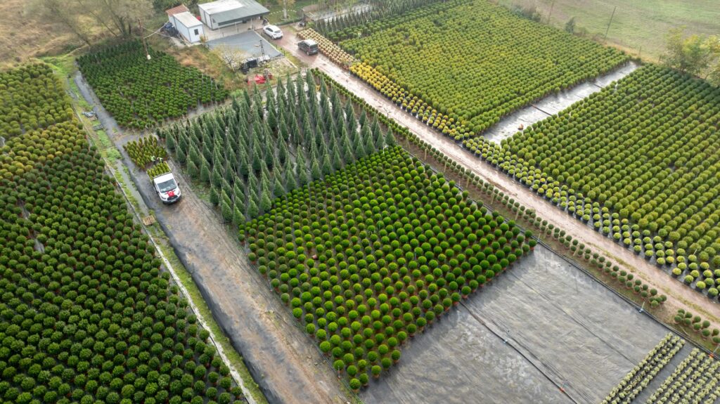 targeted tree selection
