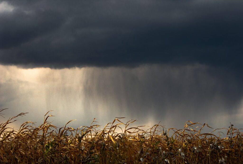 B.C. rainfall warning