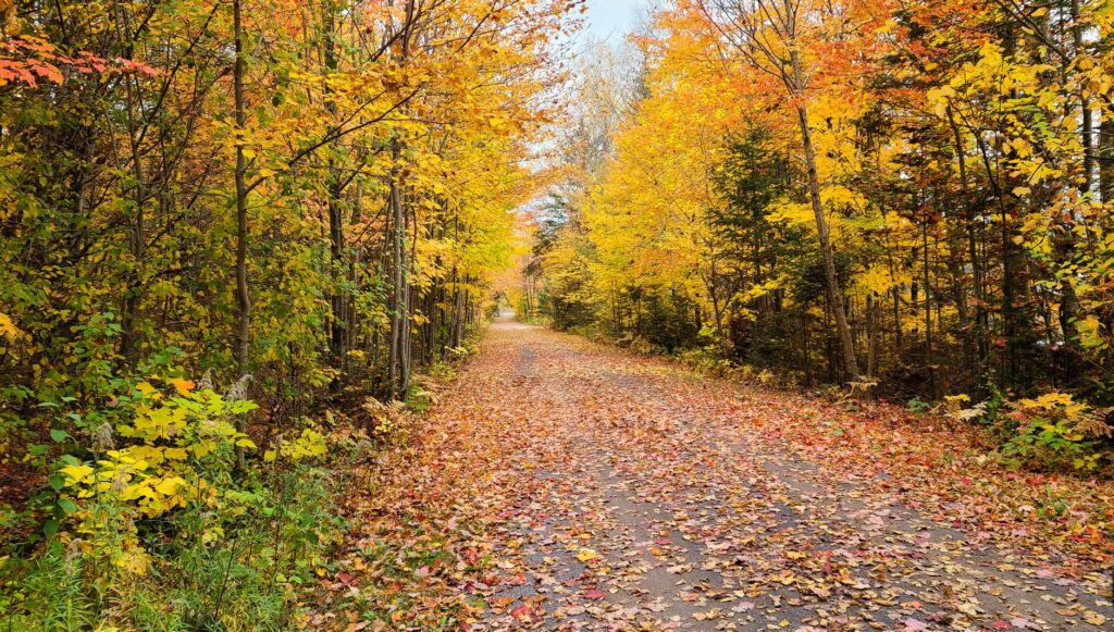 Canada October weather outlook