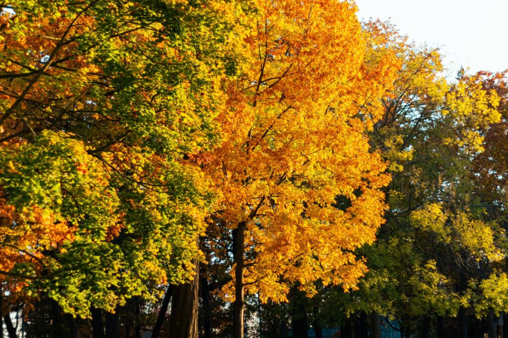 Canada October weather outlook