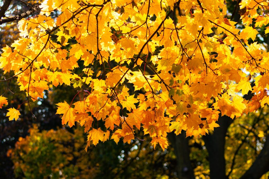 Canada October weather outlook