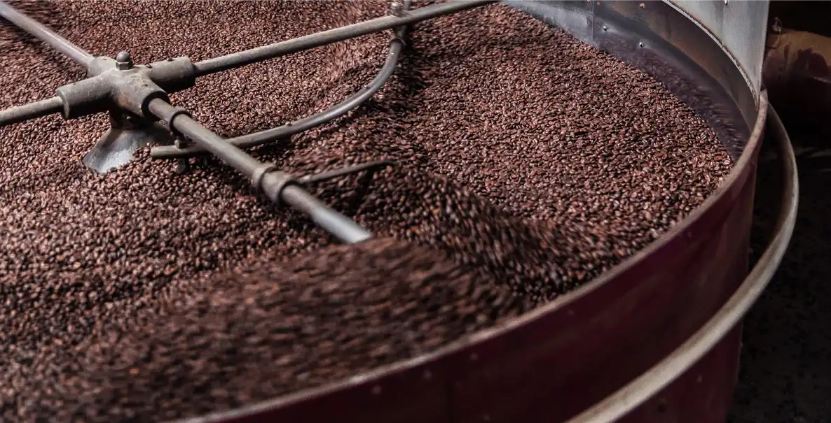 Coffee beans tumble in a large industrial roaster machine with metal paddles stirring them.